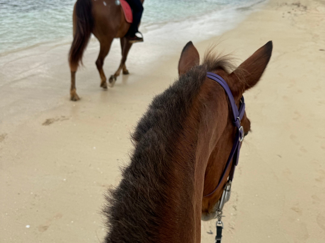 Hacienda la Suerte-拉斯特拉纳斯必去景点