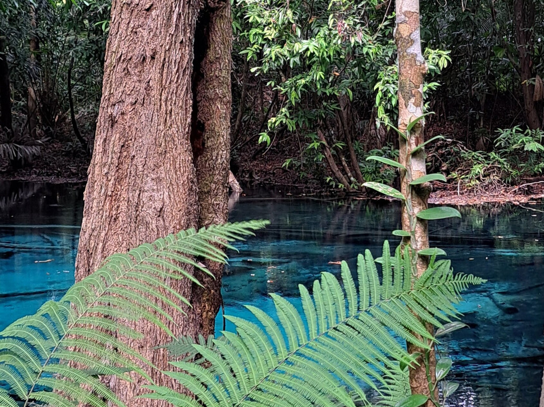 Blue Pool Krabi景点图片