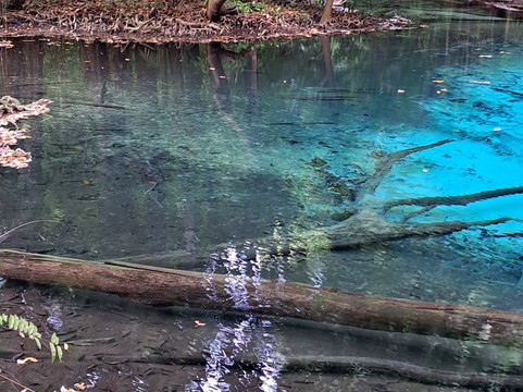 Blue Pool Krabi-空统必去景点