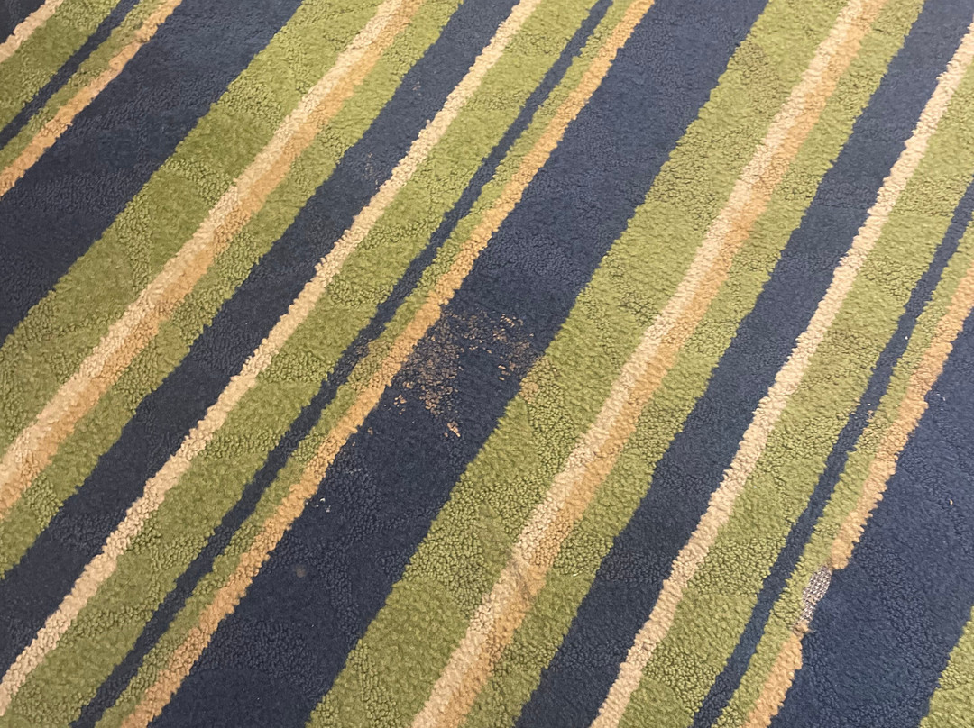 Comfort Inn & Suites Lantana - West Palm Beach South主图