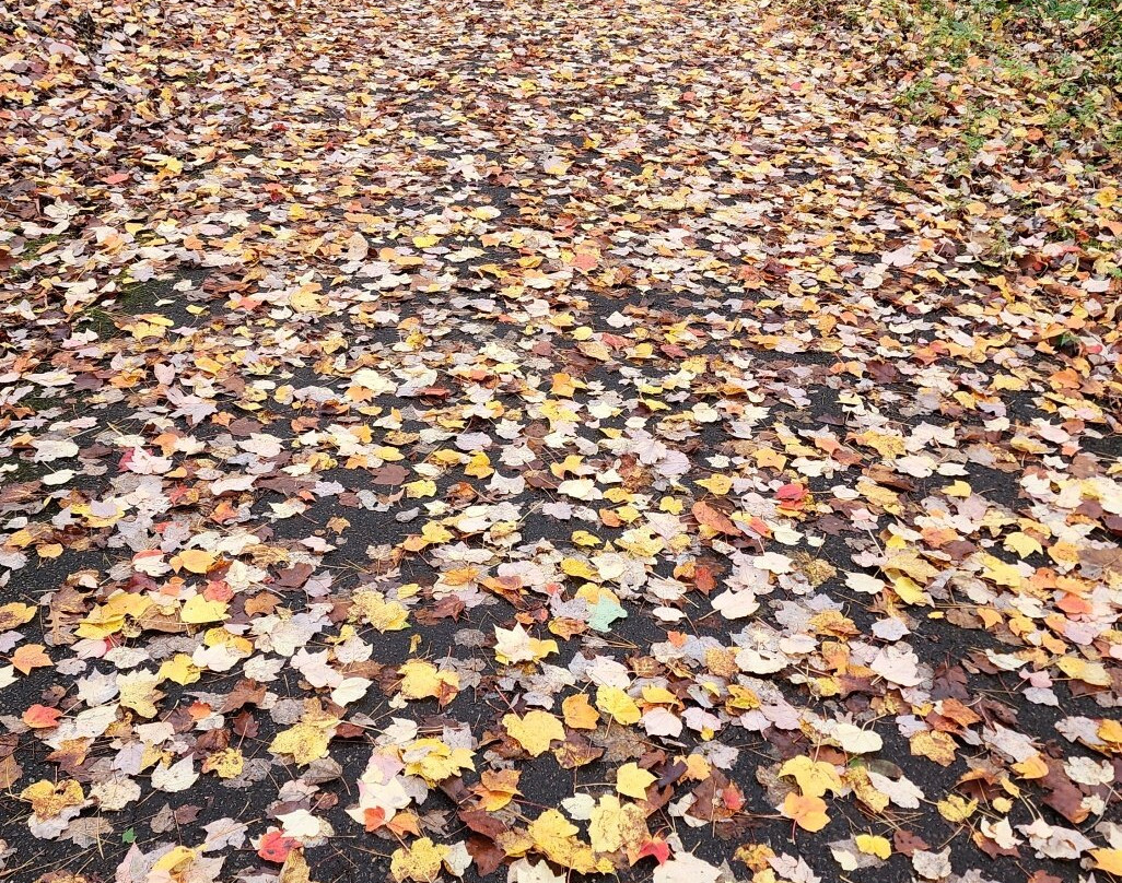 Mirror Lake State Park-巴拉布必去景点