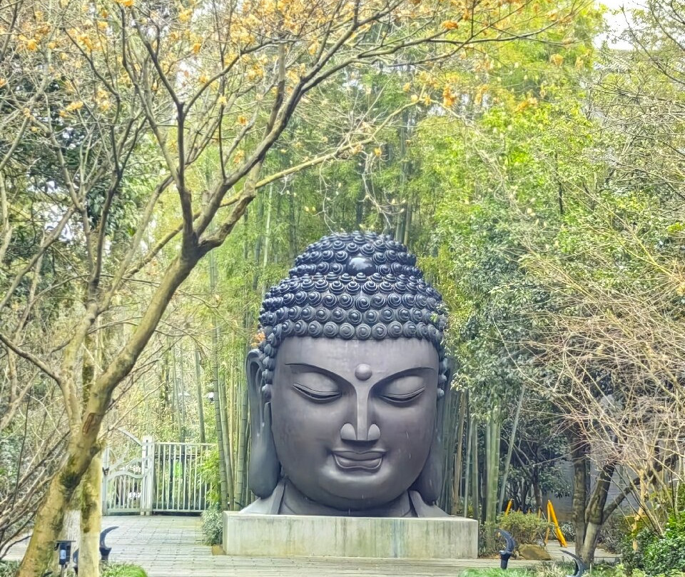 杭州植物园-杭州市必去景点