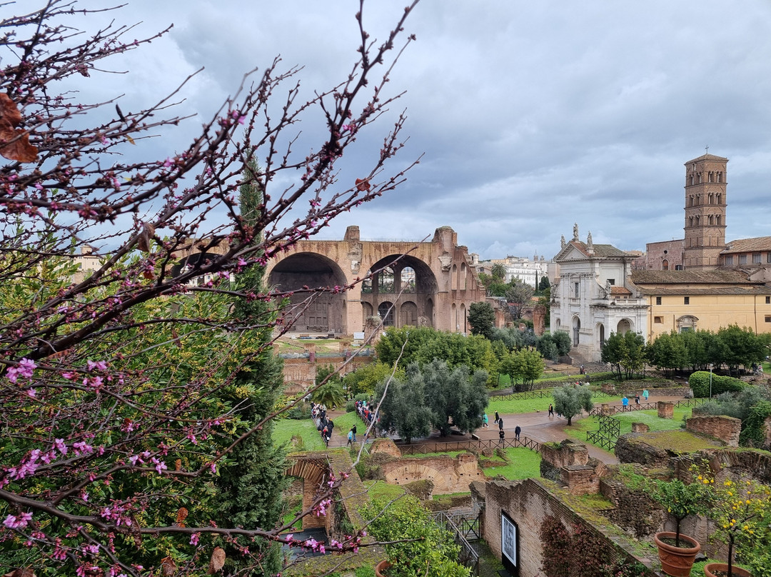 Francesca Calvani-罗马必去景点