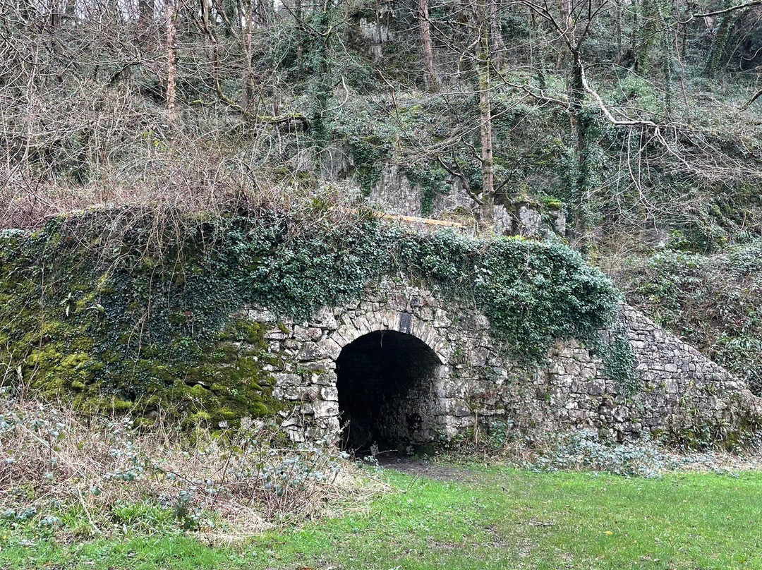 Parc Le Breos Chambered Tomb景点图片