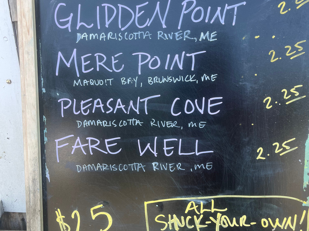 Lady Oyster Tours-巴斯必去景点