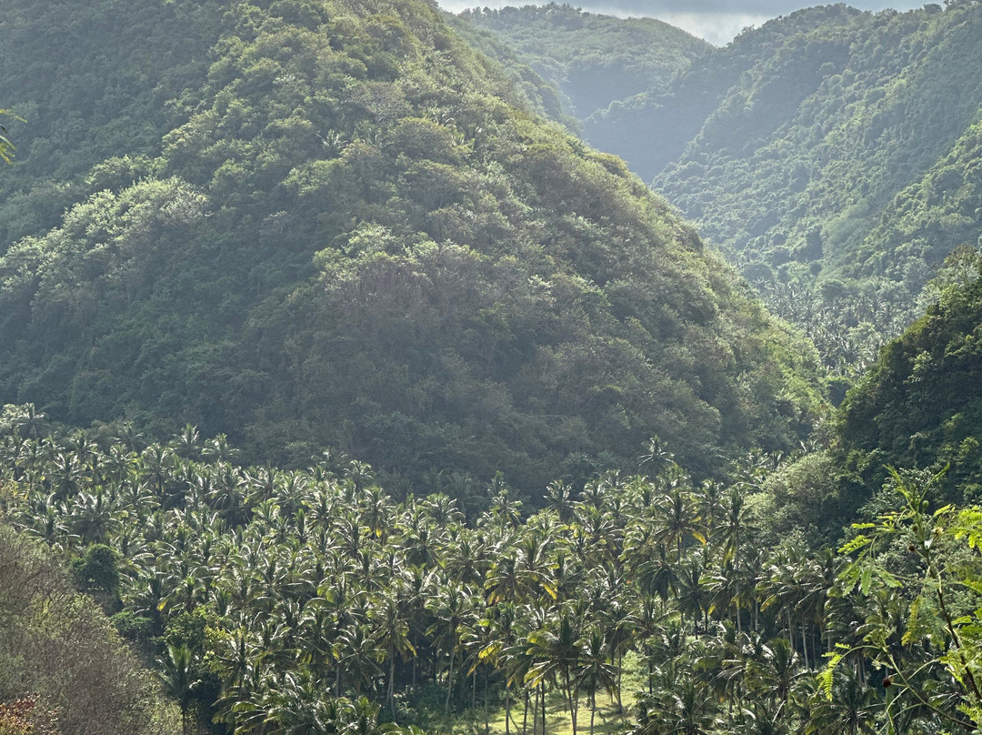 Nusa Penida Street Tour-珀尼达岛必去景点