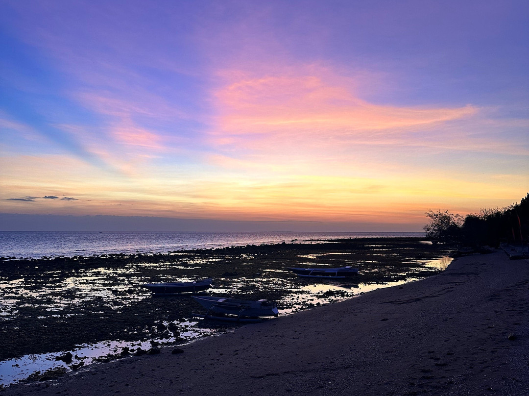 Moyo Island Resort主图