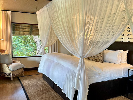 Londolozi Tree Camp主图