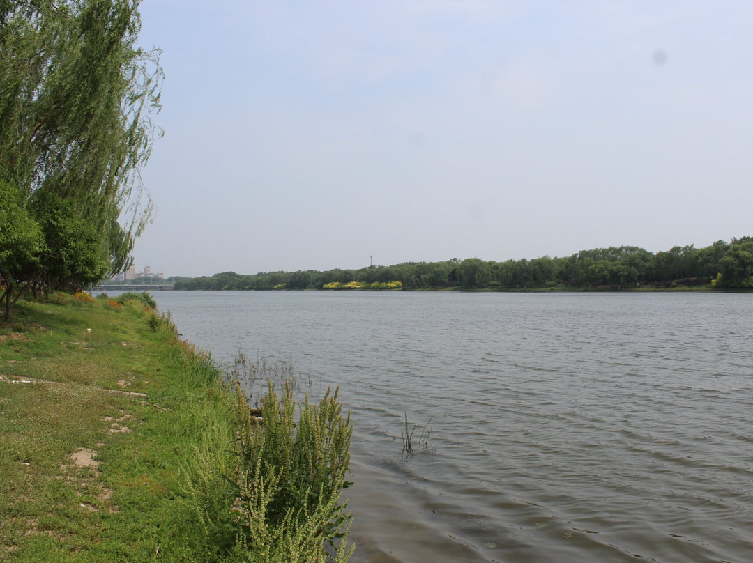 大运河森林公园-北京市必去景点