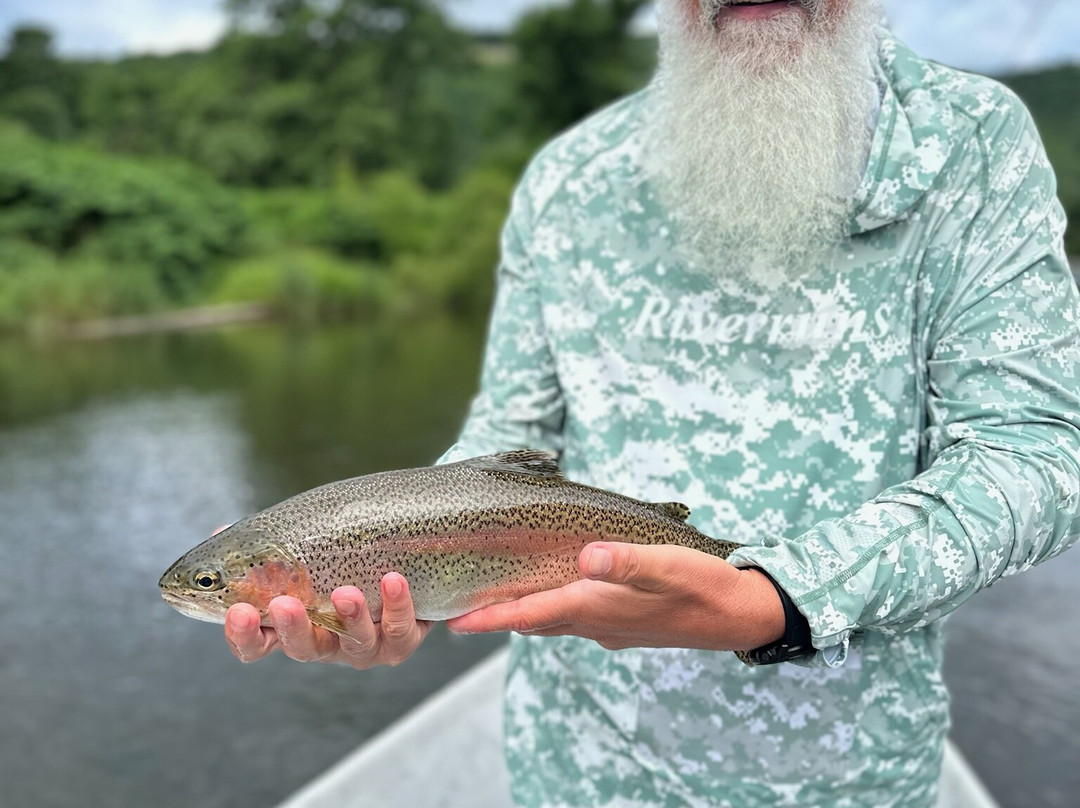 Filingo Fly Fishing景点图片