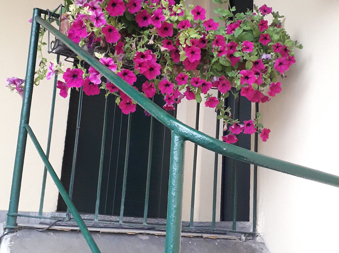 Locanda dell'Oca Bianca主图