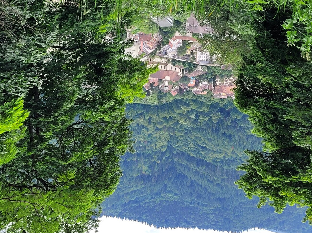 Hotel Gasthof Falken主图