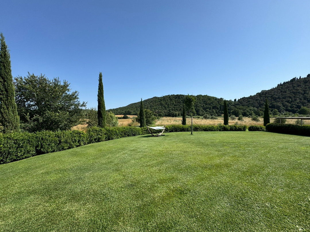 Podere L'Olmaia主图