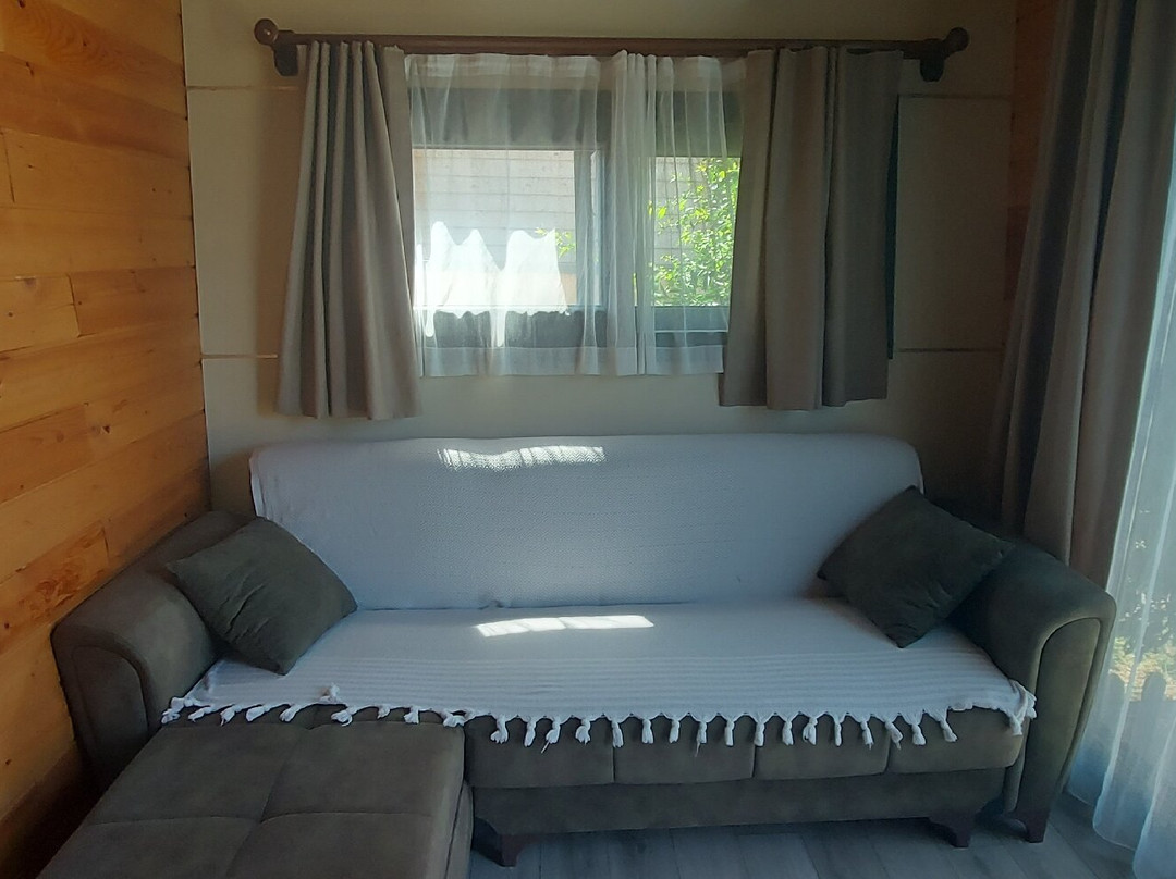 Gaia Tiny Houses Hotel主图