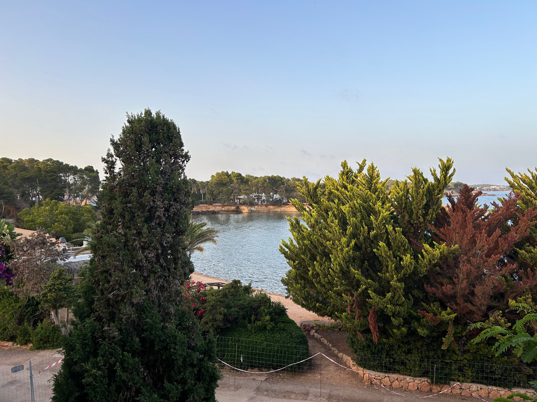Grupotel Santa Eularia & Spa主图