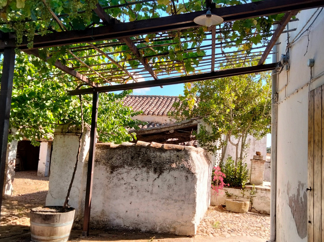 Cantina Aru-Iglesias必去景点