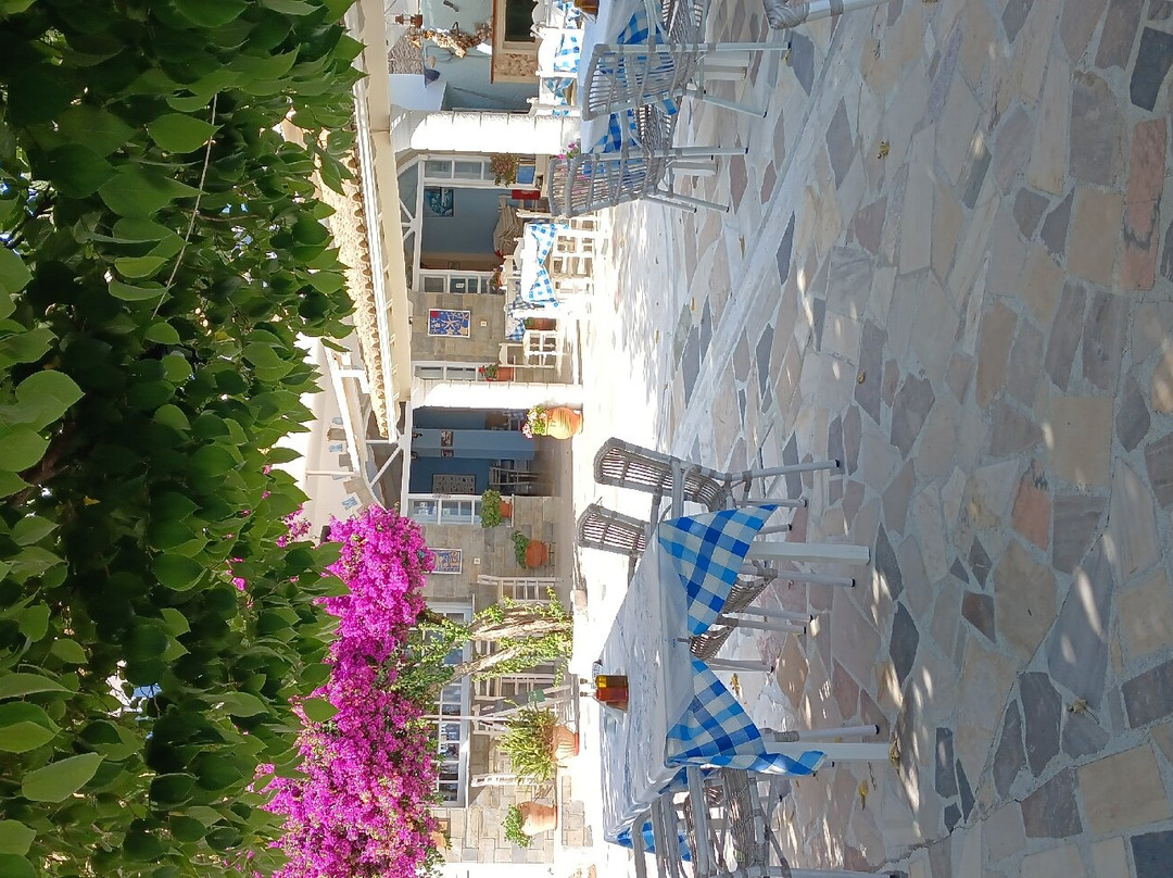 Imerolia Studios主图