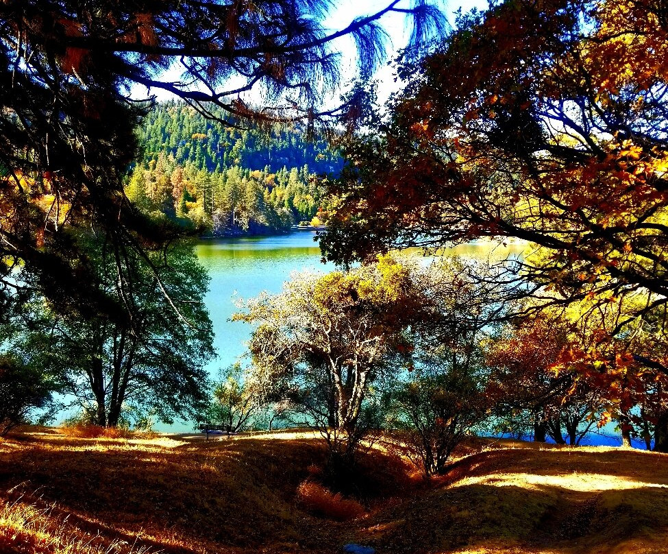 Lake Gregory Regional Park-Crestline必去景点