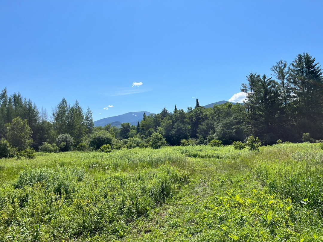 Franconia Notch Stables景点图片