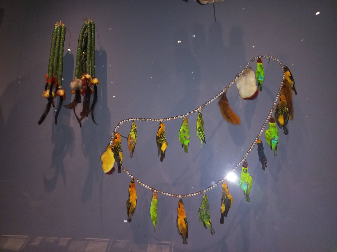 MEG Musée d’ethnographie de Genève-日内瓦必去景点