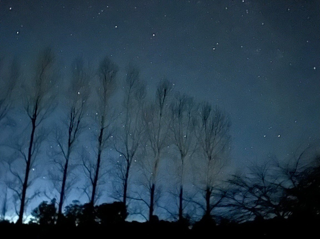 The Truffledore-Barrington必去景点