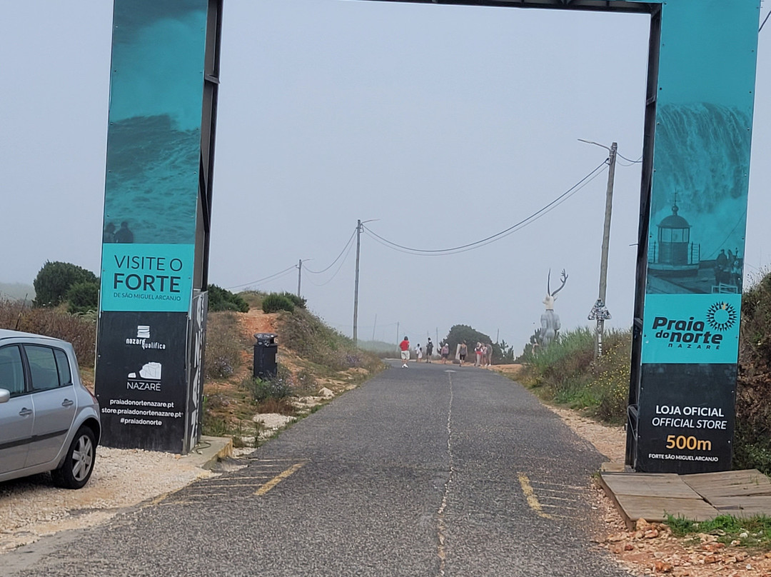 Cyclin Rio-奥比都斯必去景点