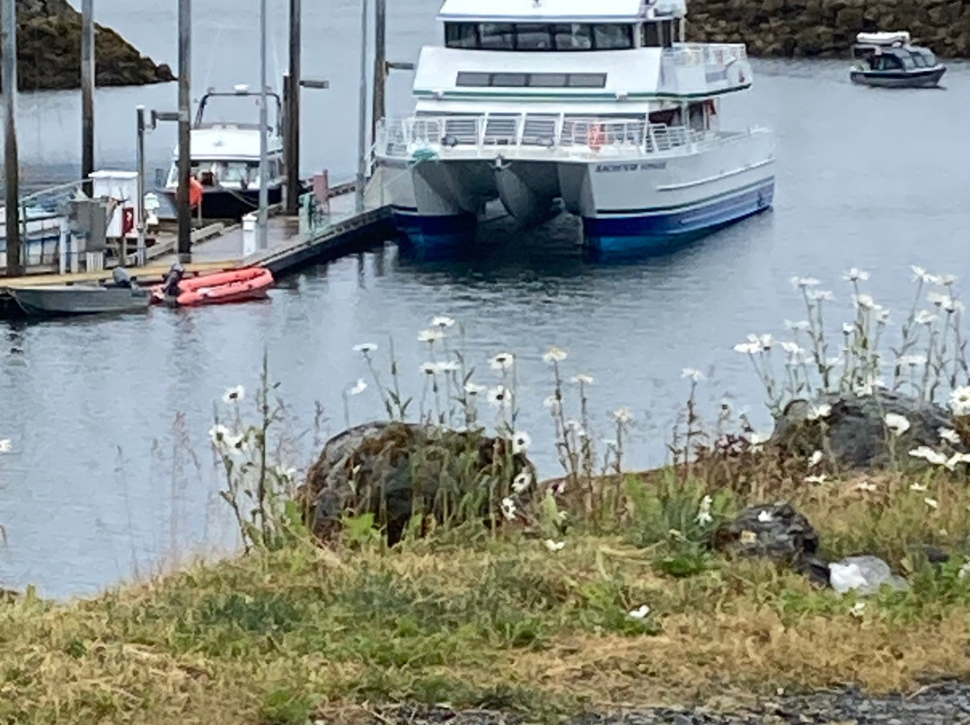 Seldovia Bay Ferry-荷马必去景点