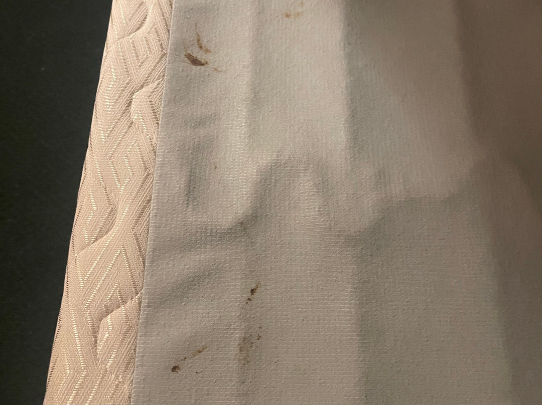 Starlite Budget Inns主图