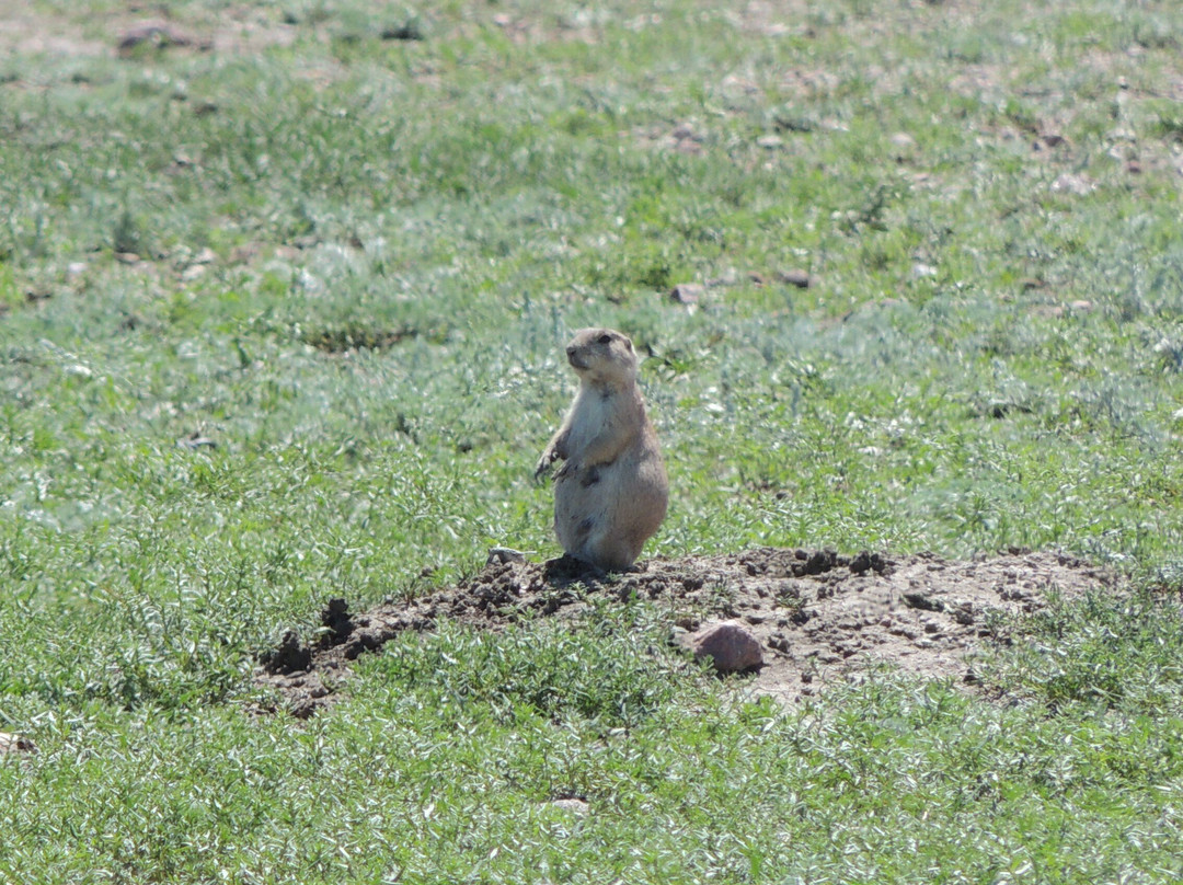 Sky Story Bed & Breakfast主图