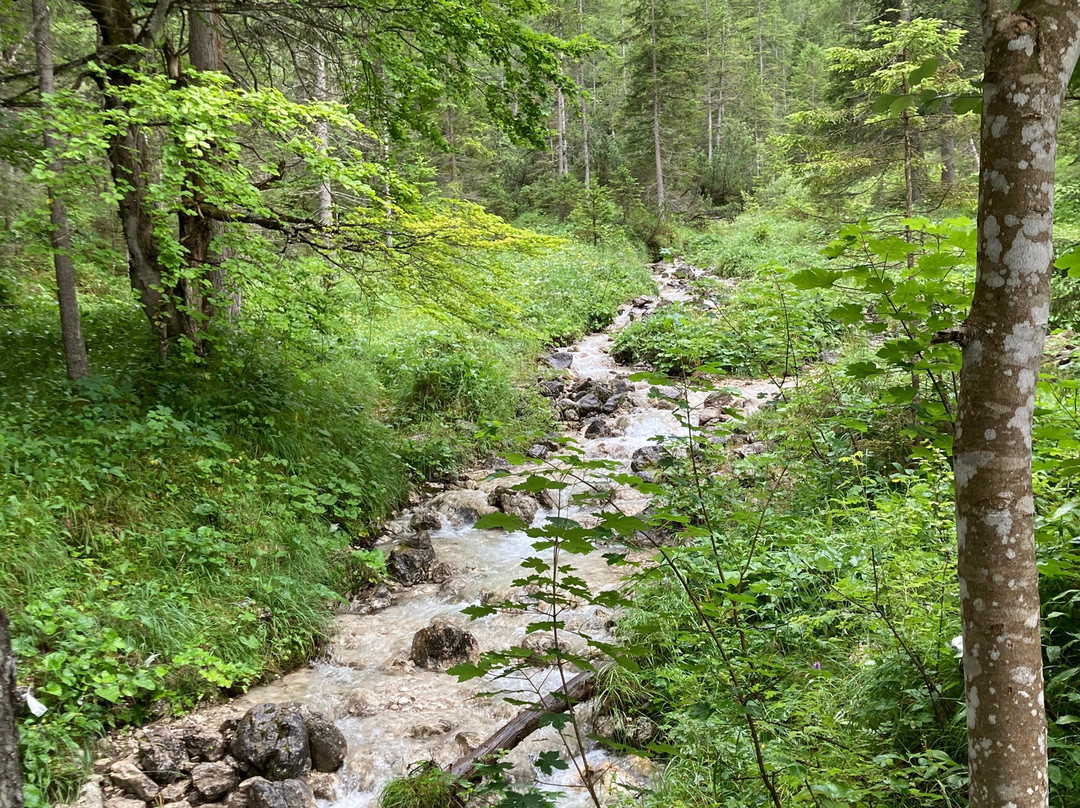 Wasserfall-Erlebnisweg Ehrwald-埃尔森林市必去景点