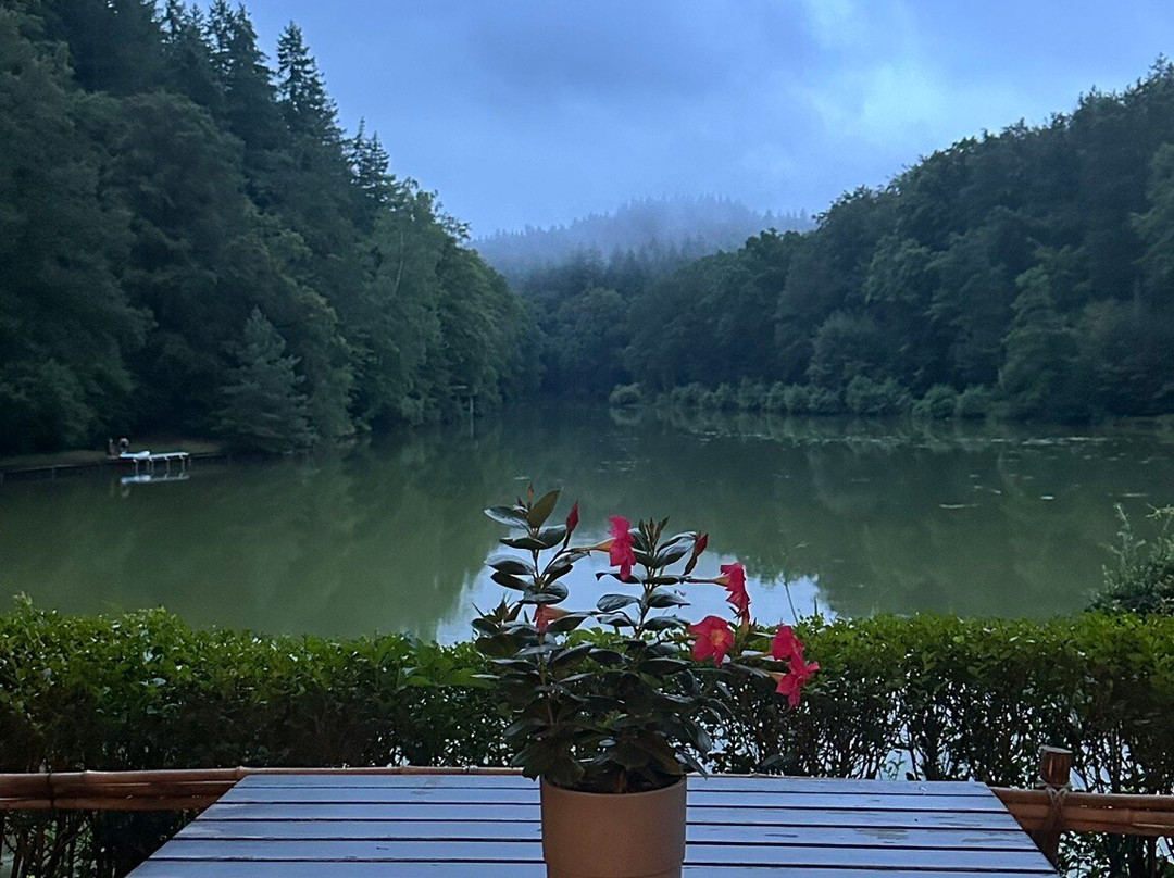 Eiswoog景点图片