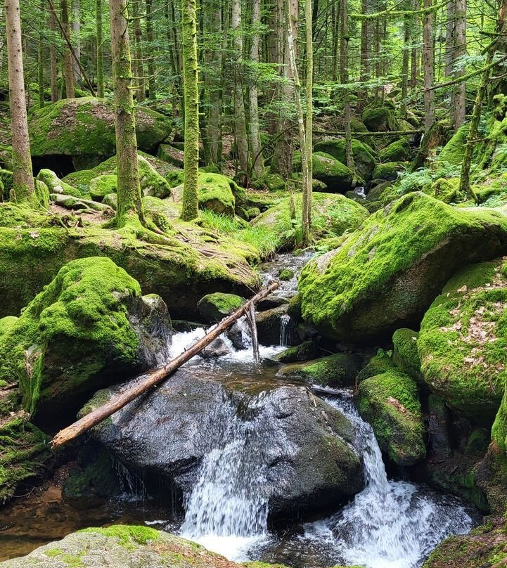 Gertelbach-Wasserfälle-Buehlertal必去景点