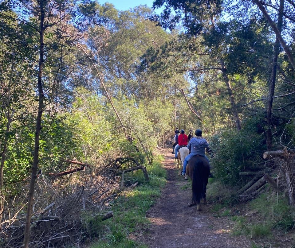 Kurland Park Horse Trails-普利登堡湾必去景点