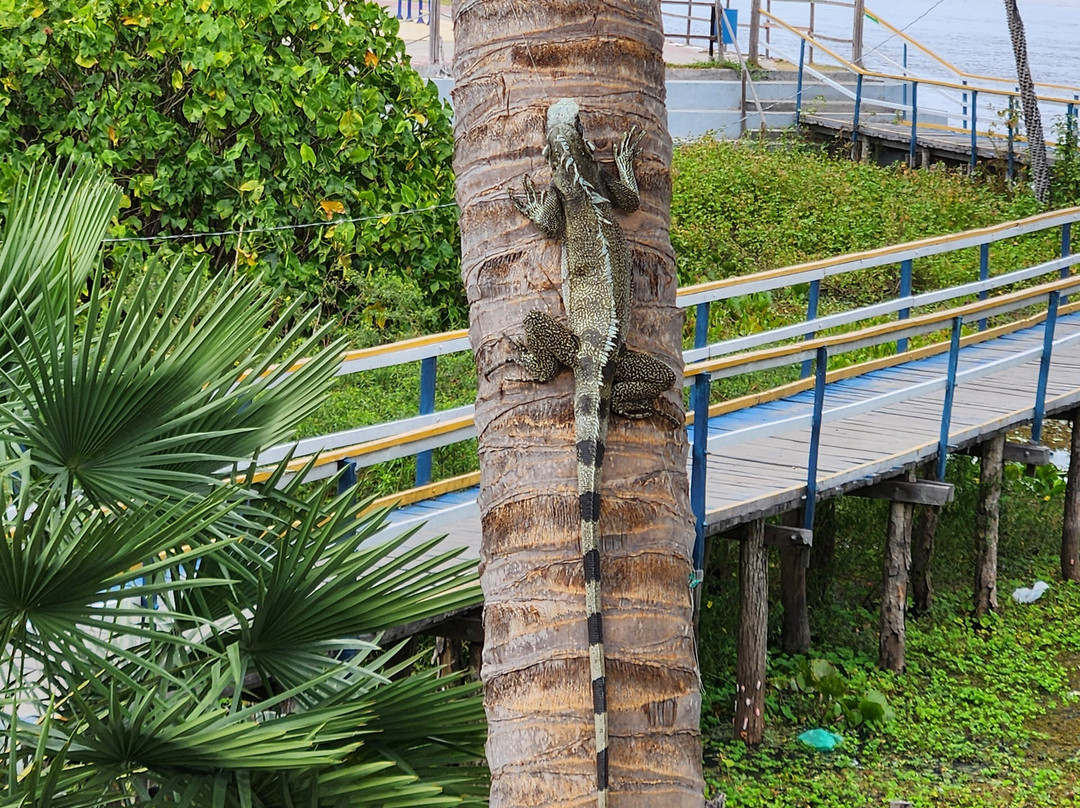 Pousada Cajueiro主图