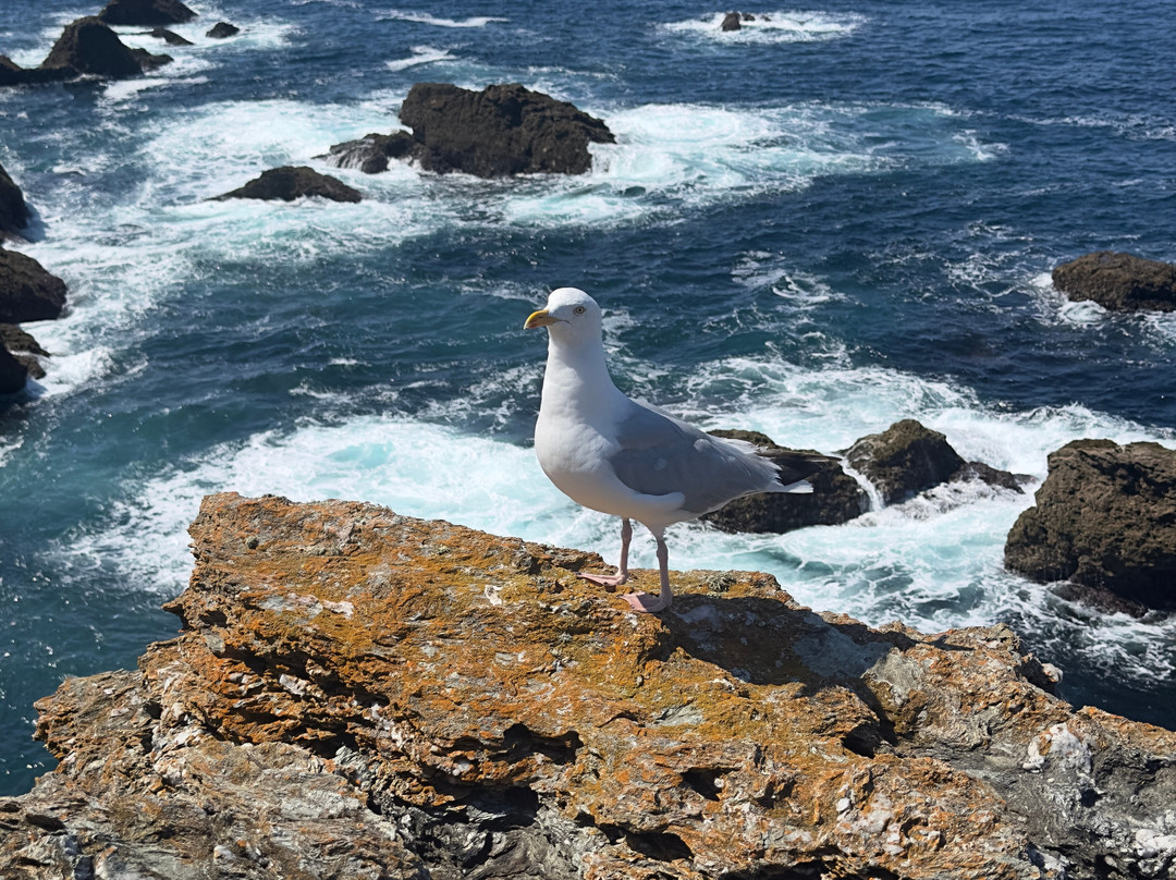 La Pointe des Poulains景点图片