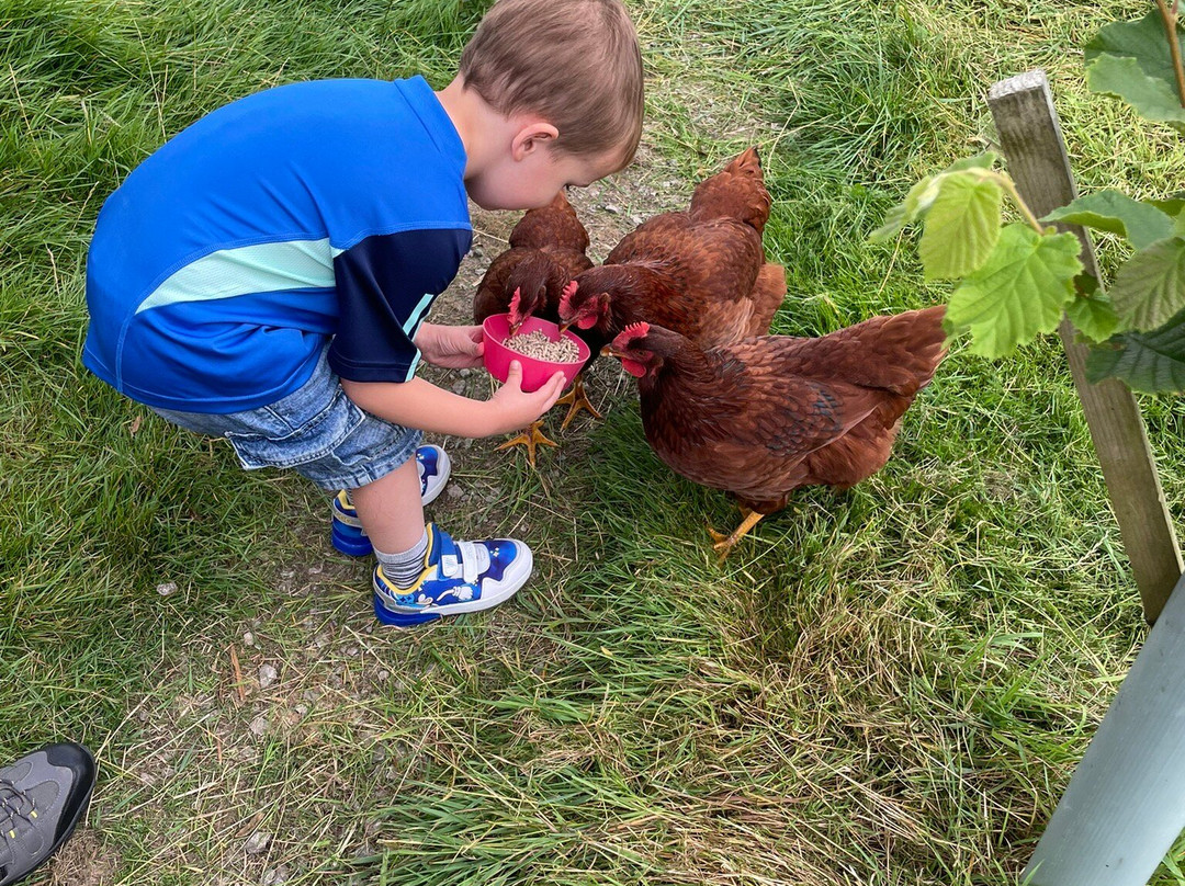 Hazel Brow Farm Visitor Centre-Low Row必去景点