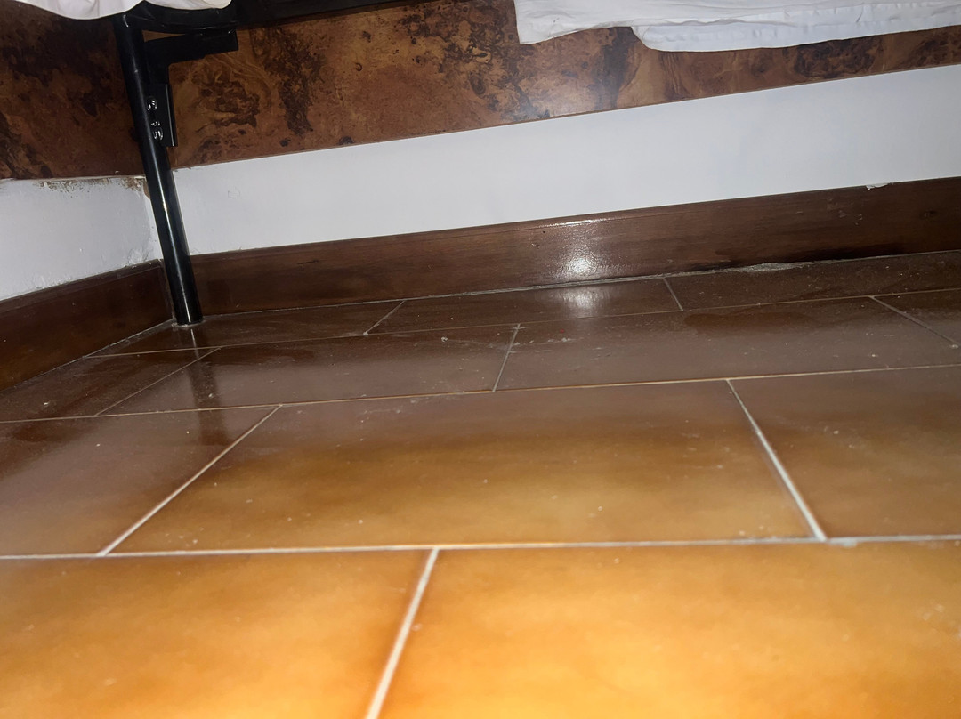 President & Nebenhaus Sporting主图