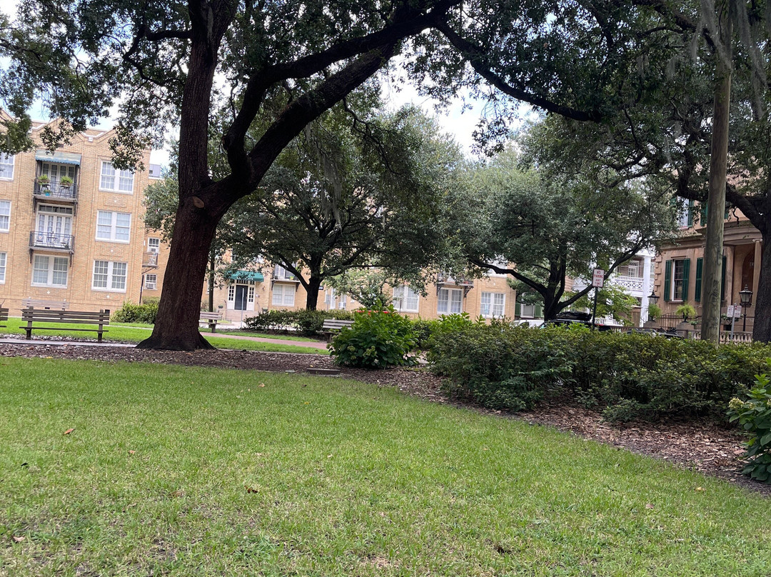 Oglethorpe Square景点图片