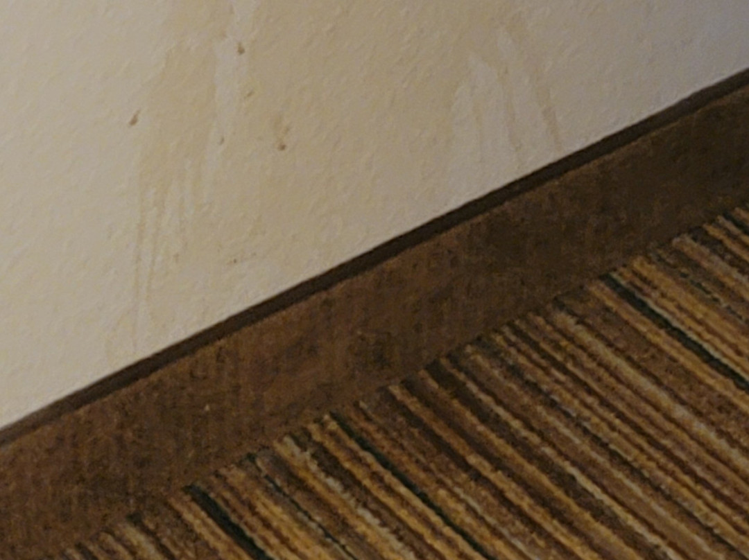 Residence Inn Minneapolis Edina主图