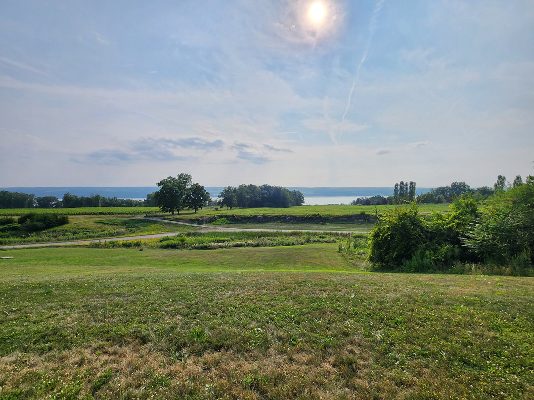 Bright Leaf Vineyard-King Ferry必去景点