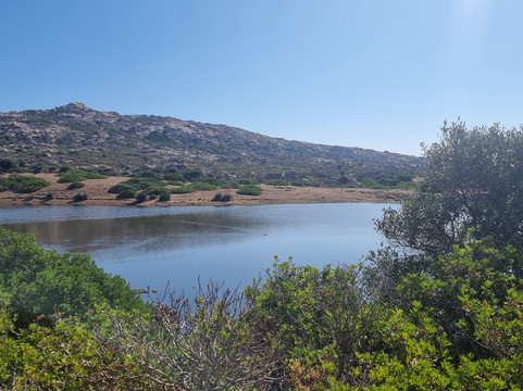 Cooperativa Sealand Asinara-萨萨里省必去景点