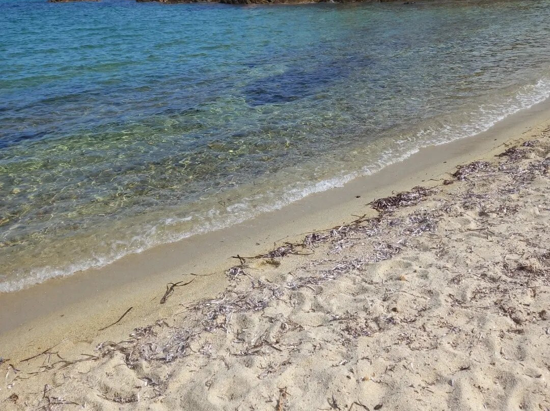 Spiaggia della Tartaruga-San Teodoro必去景点