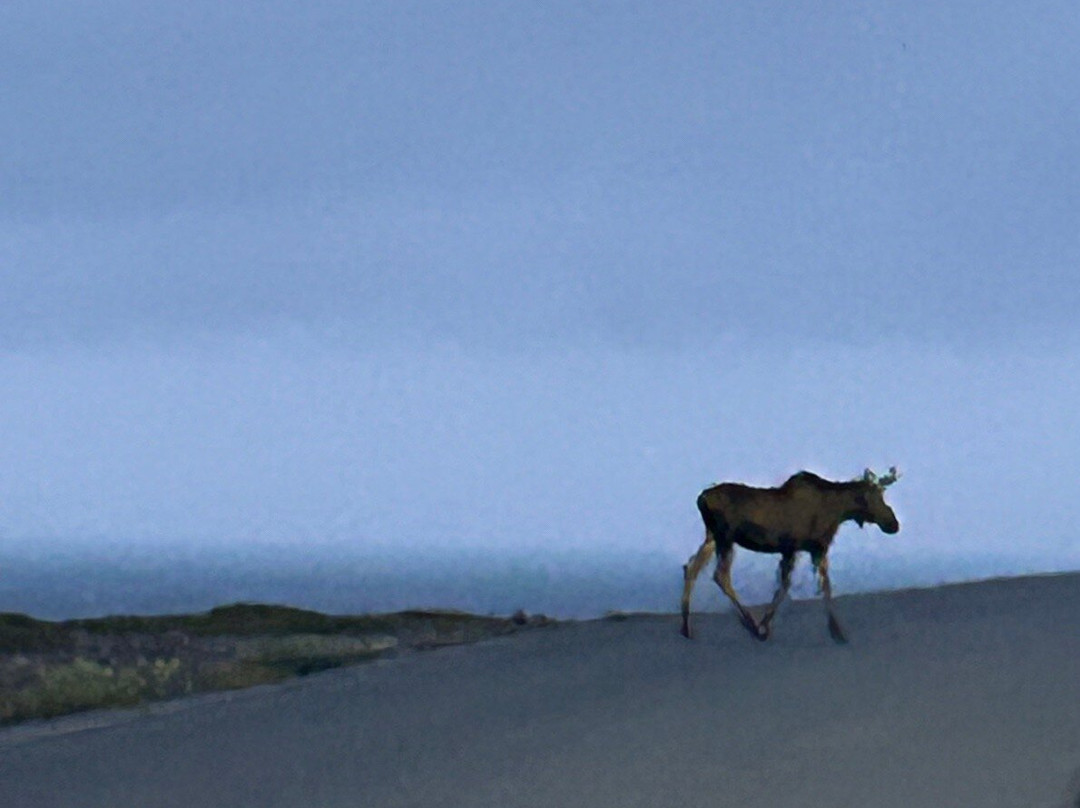 Jeannie's Sunrise Bed & Breakfast主图