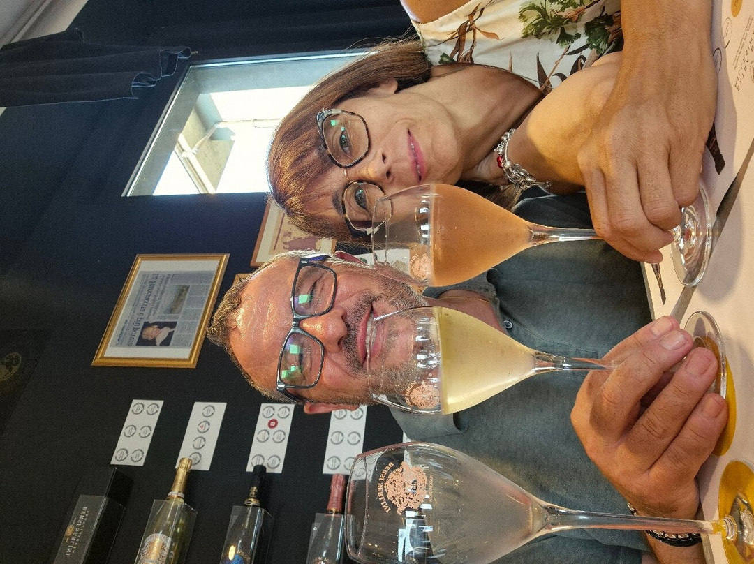 Bersi Serlini Franciacorta景点图片
