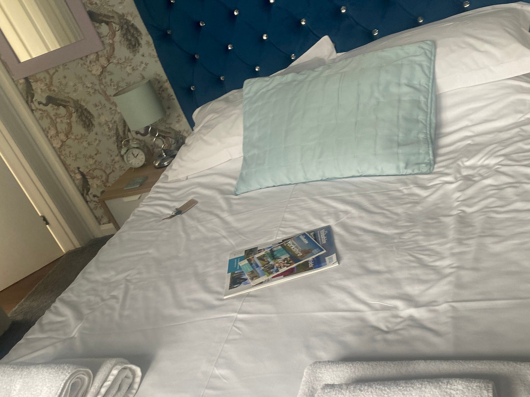 The Bay Ridge Hotel主图