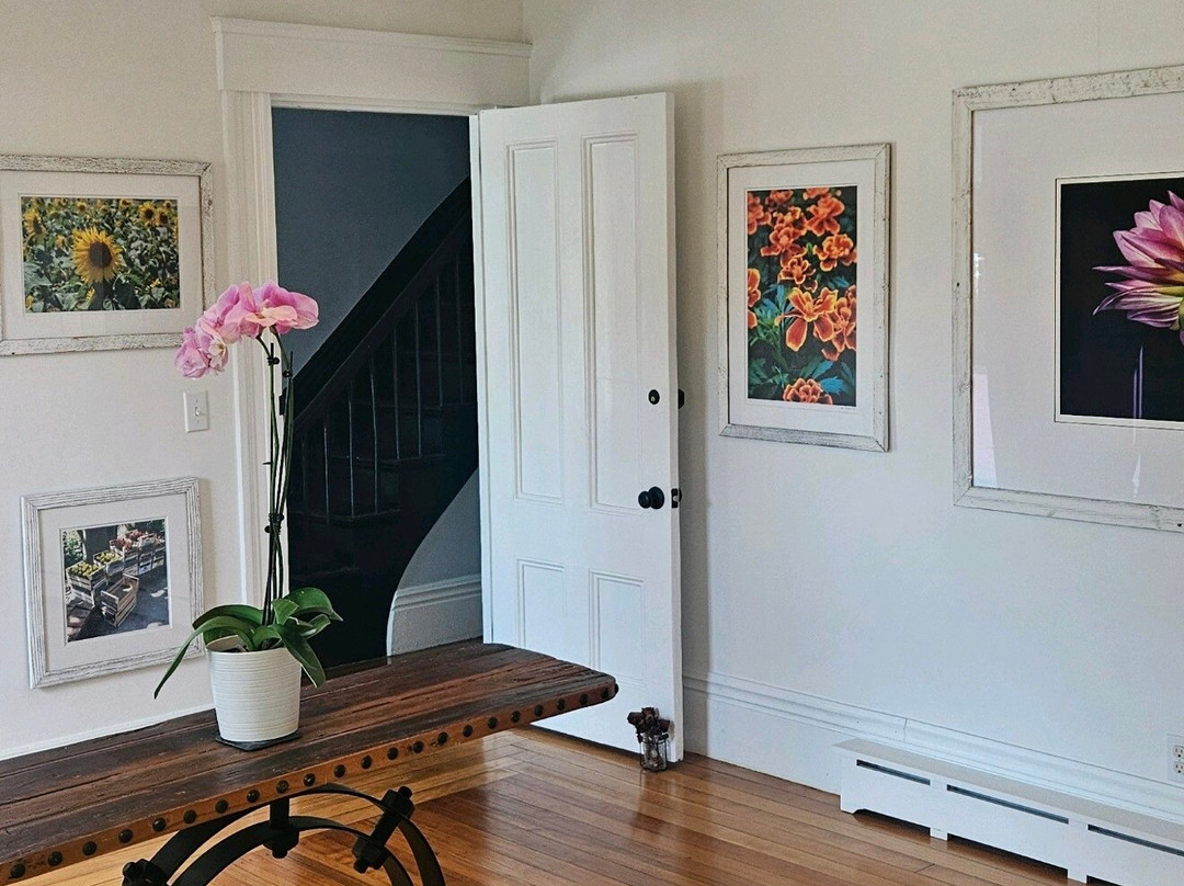 Sea Street Inn主图