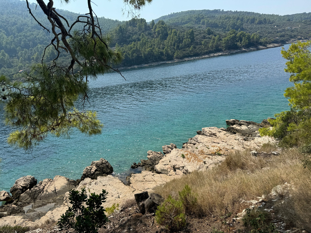 Otok Osjak景点图片