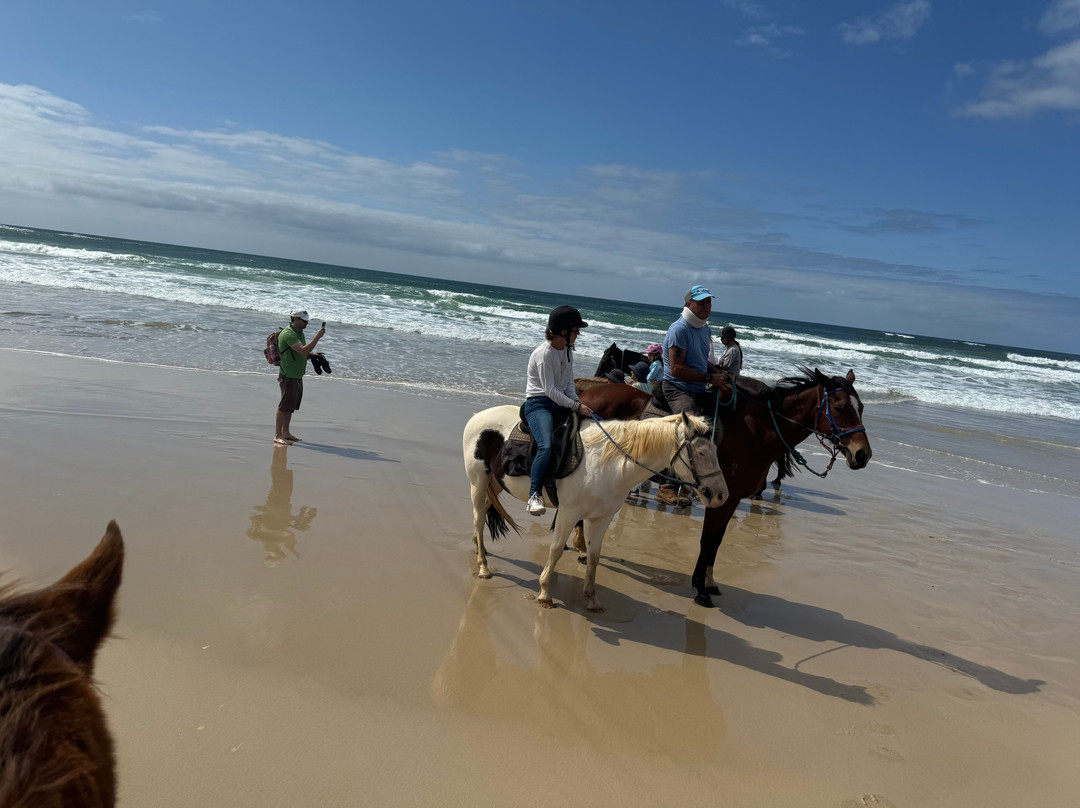 Pegasus Park Equestrian Centre-Binna Burra必去景点