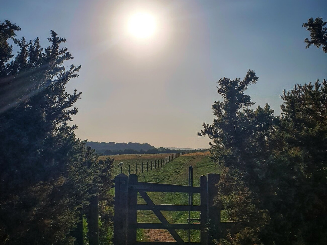 Morfa Aber Nature Reserve景点图片