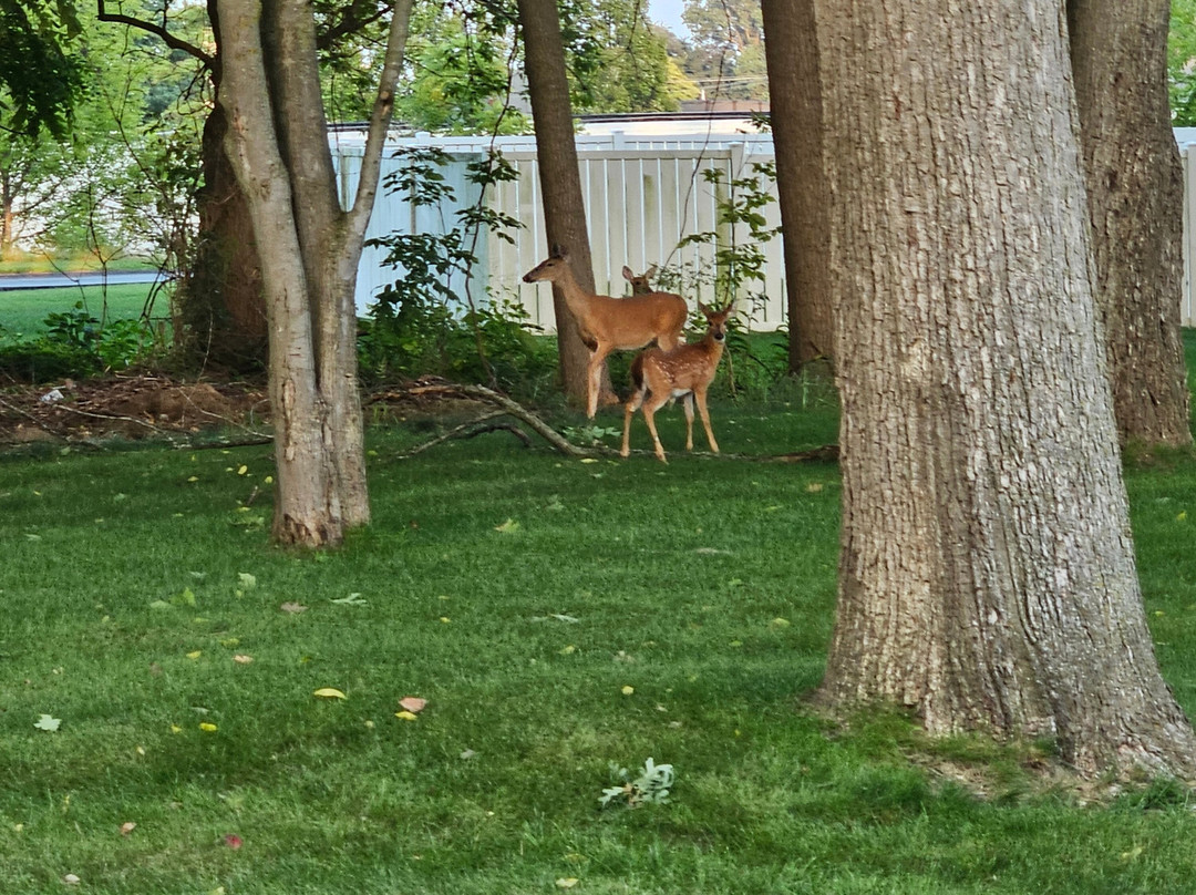 The Harrington Inn主图